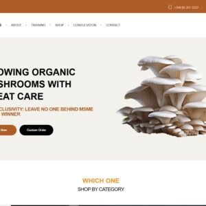I will do custom website development