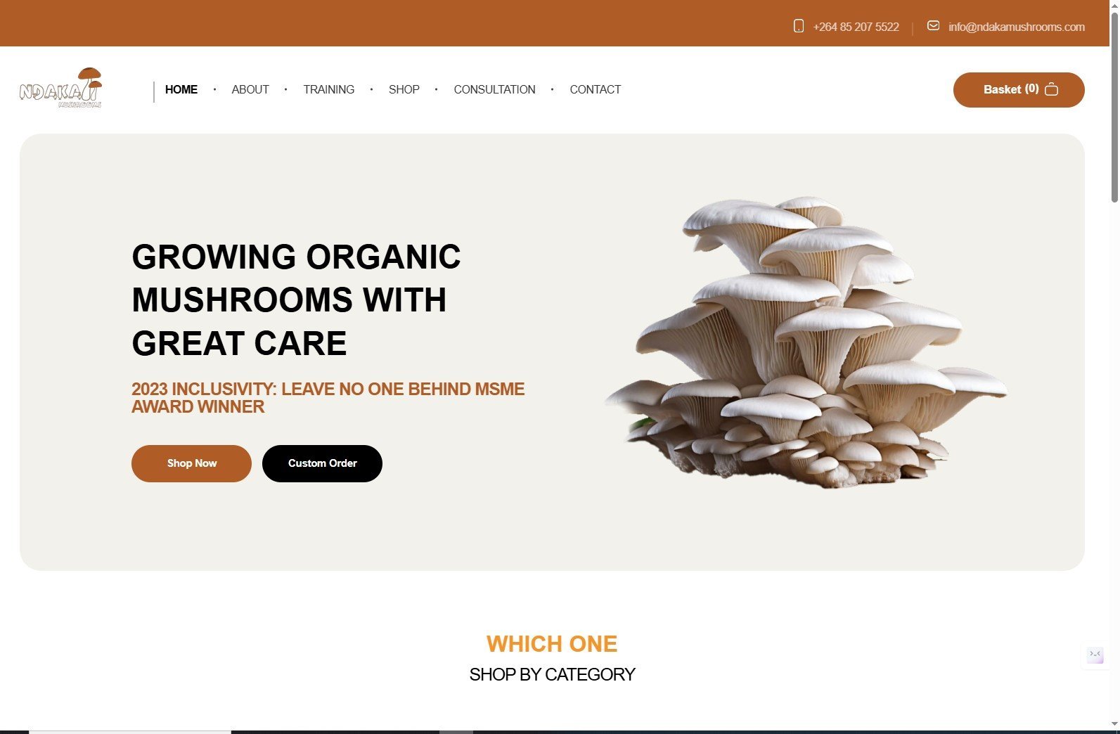 I will do custom website development